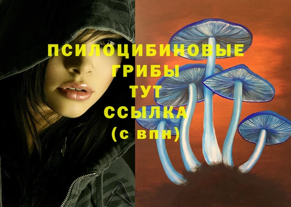 mix Алексин