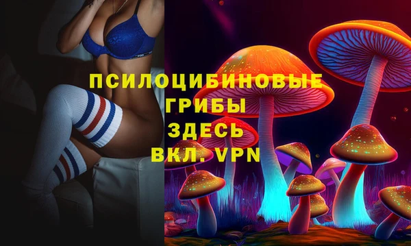 jwh Алзамай