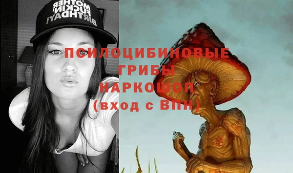mix Алексин