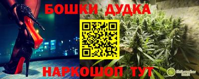 mdpv Рыбинск