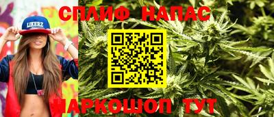 индика Рузаевка