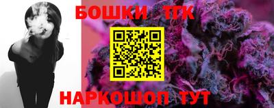 индика Рузаевка