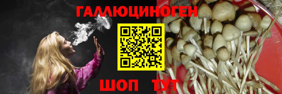 Арсеньев  Псилоцибиновые грибы GOLDEN TEACHER  Вход с VPN  наркотики  Псилоцибиновые грибы мухоморы 